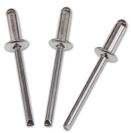 RIVETTI ALLUMINIO SACCHETTO PZ100